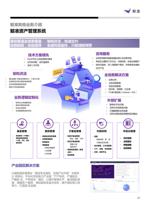 軟件與服務(wù)板塊表現(xiàn)搶眼，信息技術(shù)咨詢服務(wù)引領(lǐng)增長