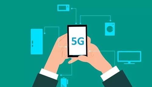 三彩家科技 借力信息技術咨詢，賦能生活服務行業(yè)降本增效